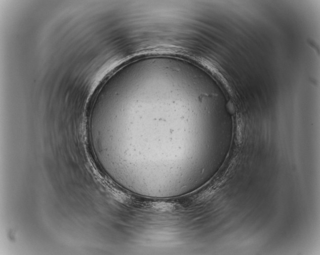 X0000100391085200806201708