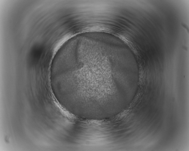 X0000100391086200806201708