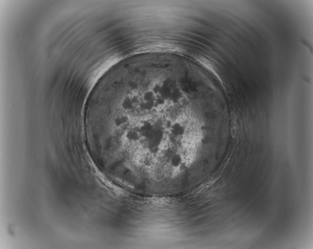 X0000100391087200806201708