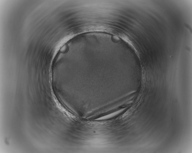 X0000100391088200806201708