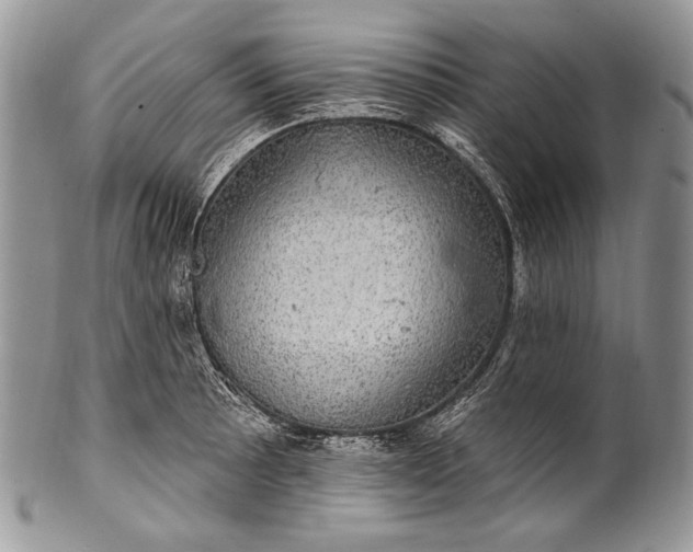 X0000100391089200806201708