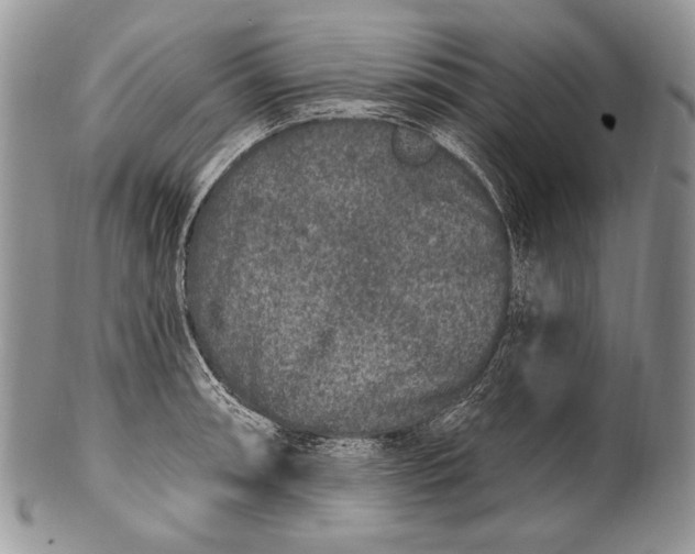 X0000100391090200806201708