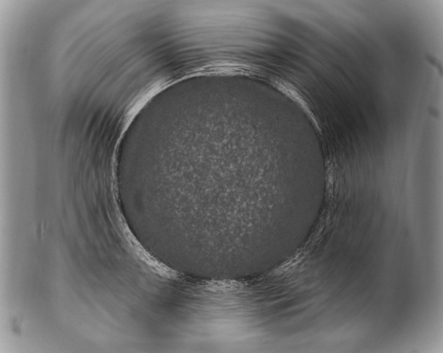 X0000100391091200806201708