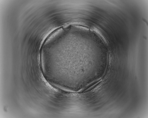 X0000100391092200806201708