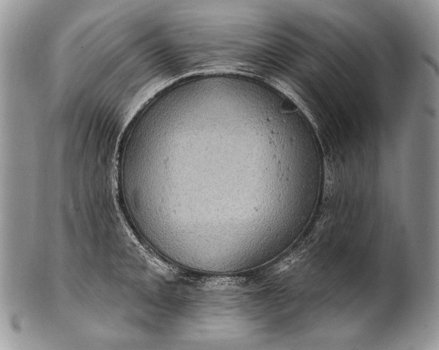 X0000100391093200806201708