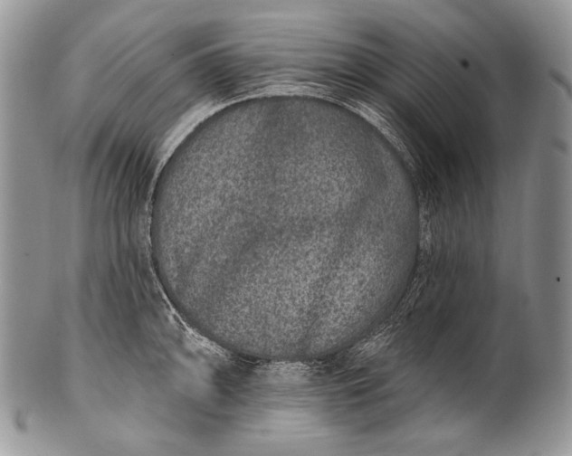 X0000100391094200806201708