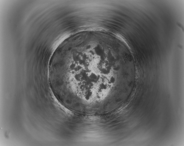 X0000100391095200806201708