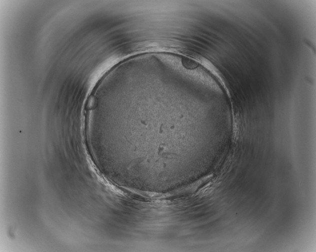 X0000100391096200806201708