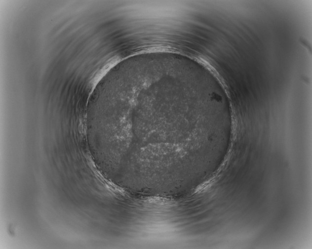 X0000100391097200806201708