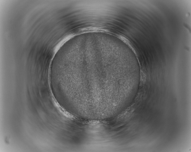 X0000100391098200806201708