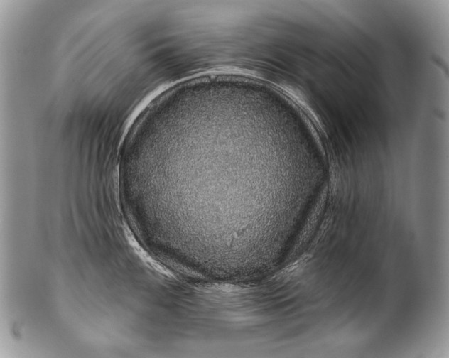 X0000100391100200806201708