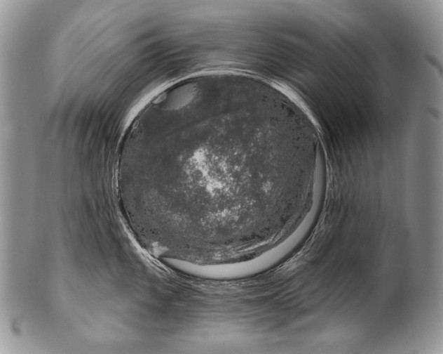 X0000100391101200806201708