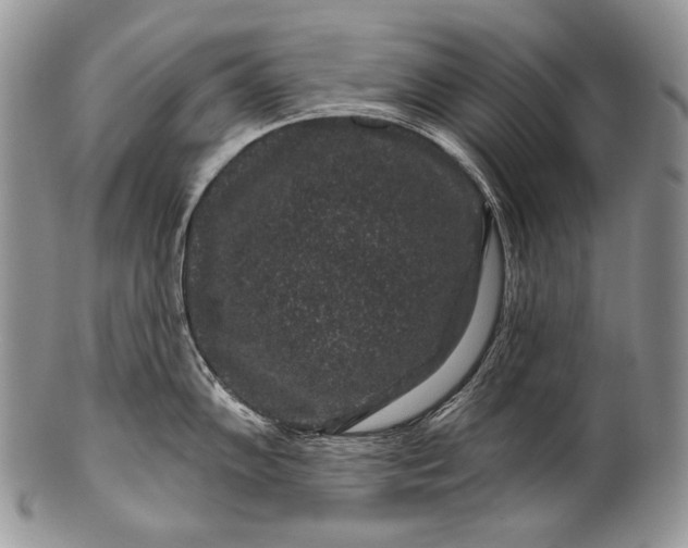 X0000100391102200806201708