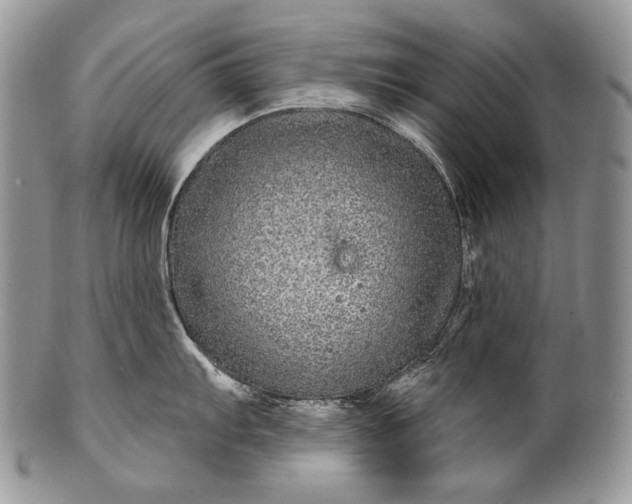 X0000100391103200806201708