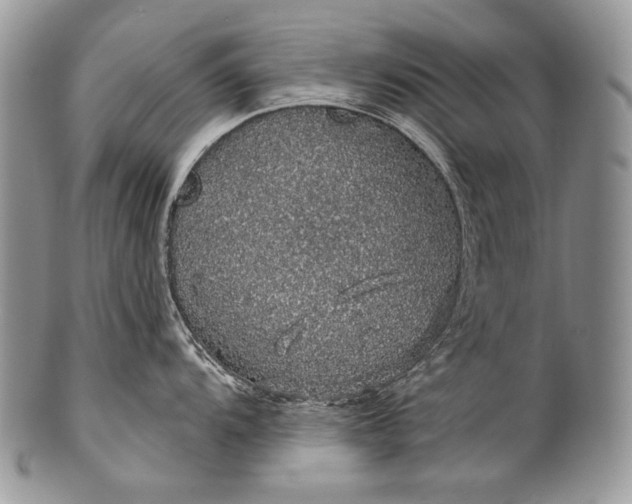 X0000100391104200806201708