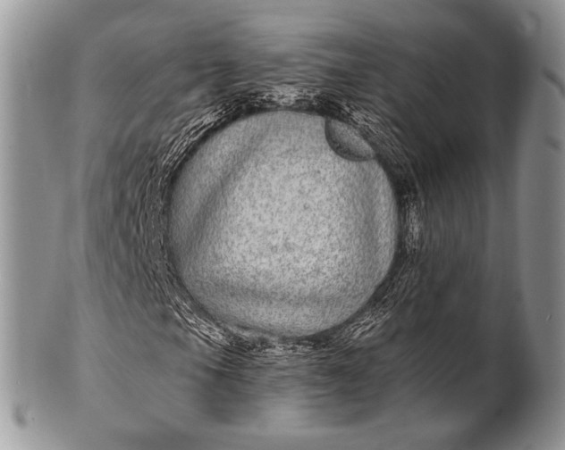 X0000100391105200806201707