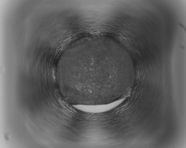 X0000100391106200806201707