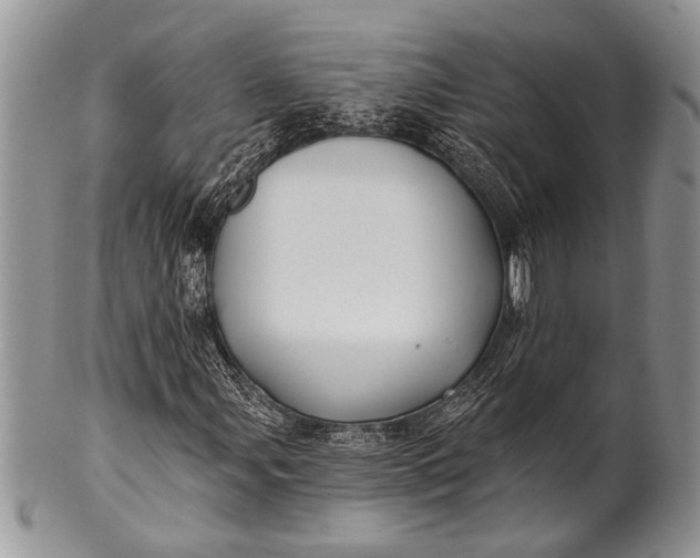 X0000100391107200806201707