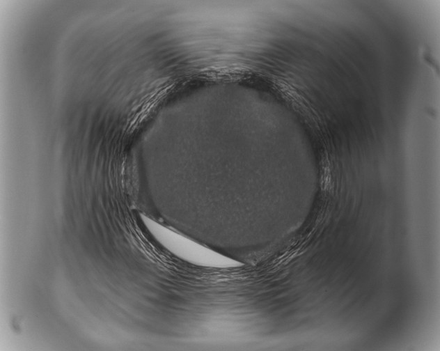 X0000100391108200806201707