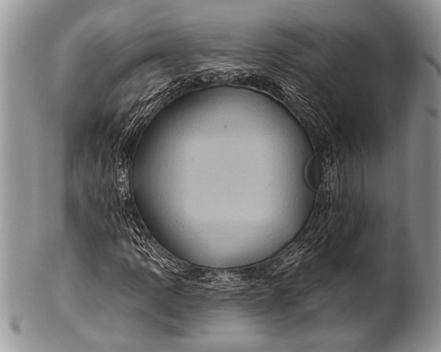 X0000100391109200806201707