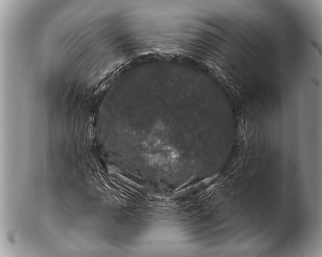 X0000100391110200806201707