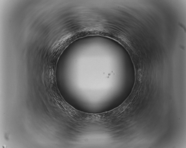 X0000100391111200806201707