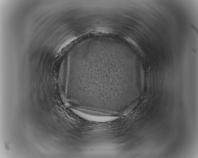 X0000100391112200806201707