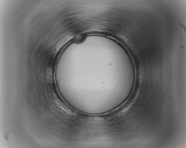 X0000100391113200806201707