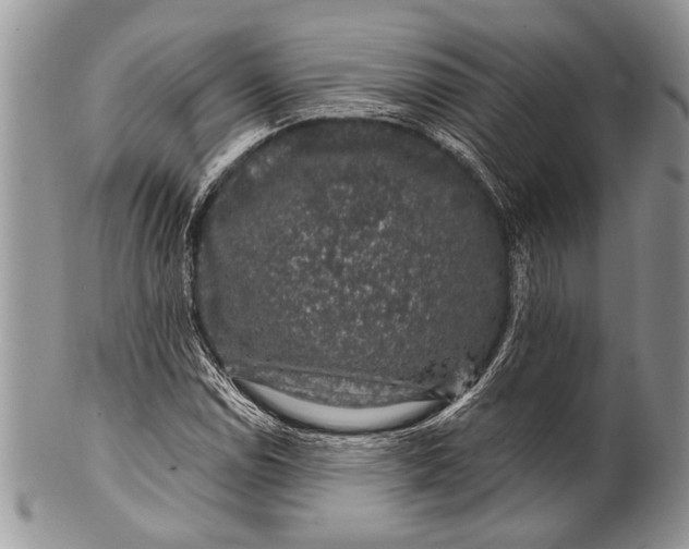 X0000100391114200806201707