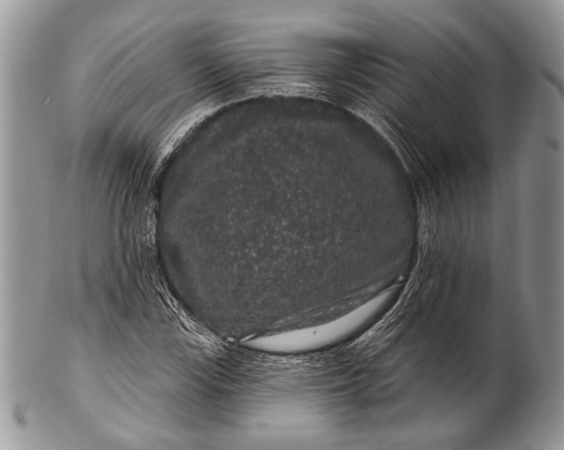 X0000100391115200806201707