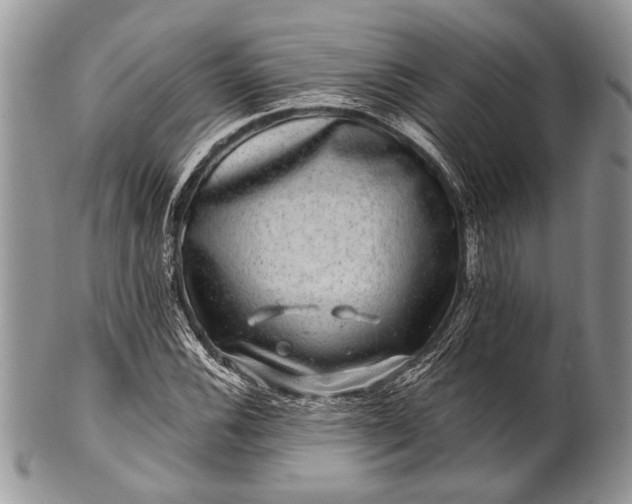 X0000100391116200806201707