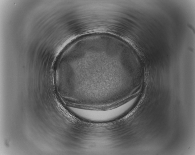 X0000100391118200806201707