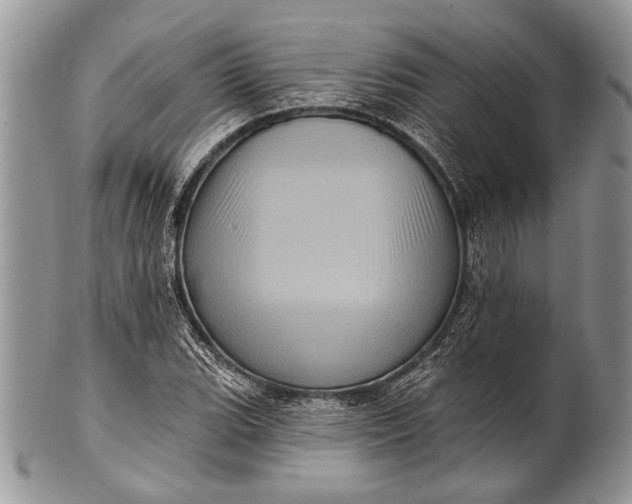 X0000100391119200806201707