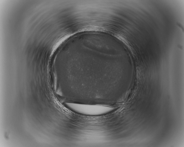 X0000100391120200806201707