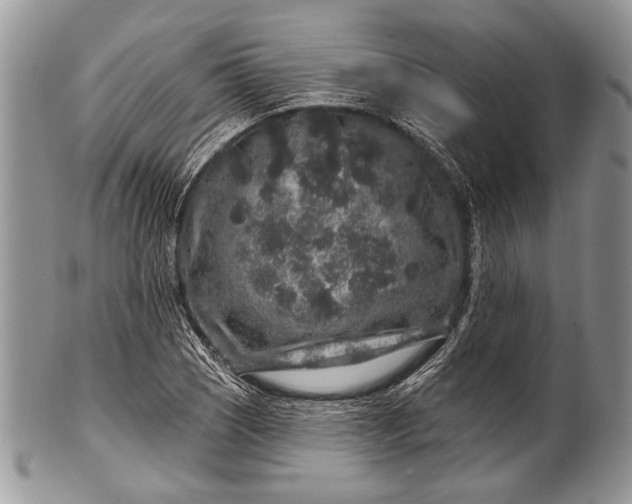 X0000100391121200806201707