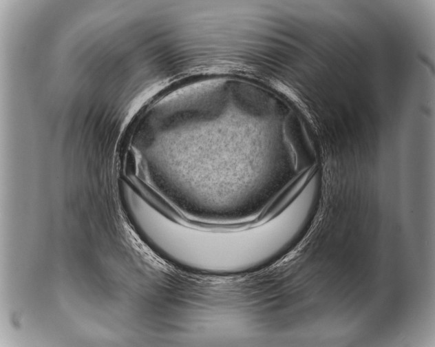 X0000100391122200806201707