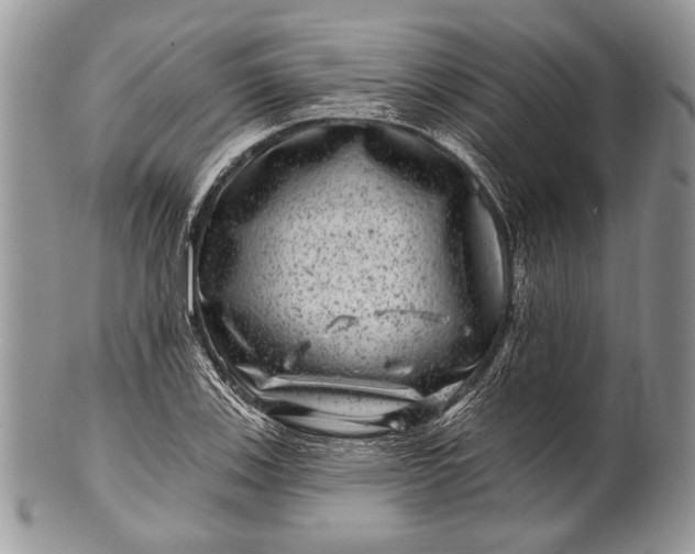 X0000100391123200806201707