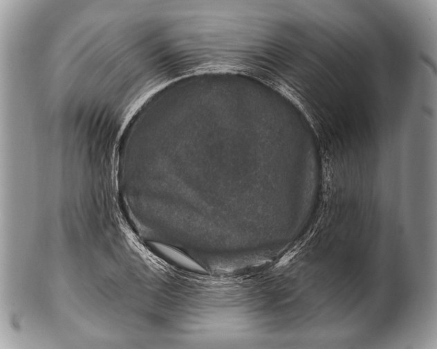 X0000100391124200806201707