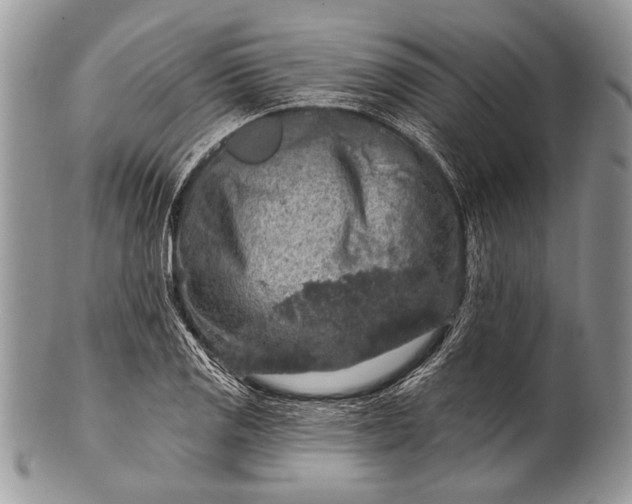 X0000100391125200806201707