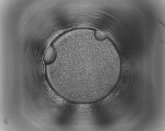 X0000100391126200806201707