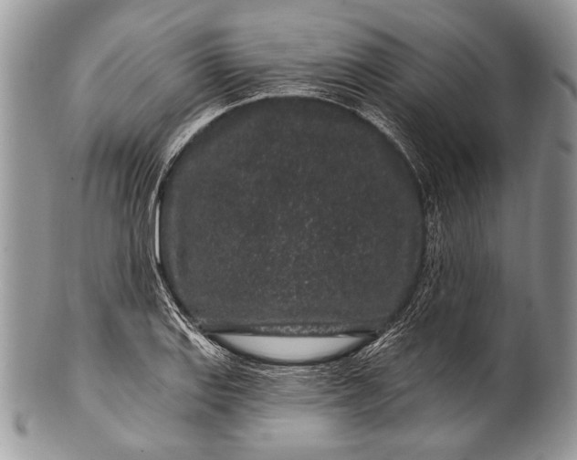 X0000100391127200806201707