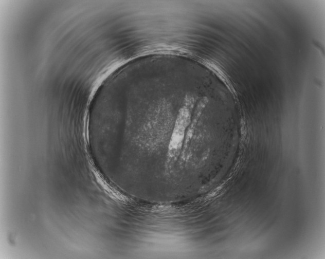 X0000100391128200806201707