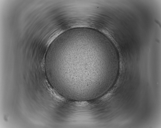 X0000100391129200806201708