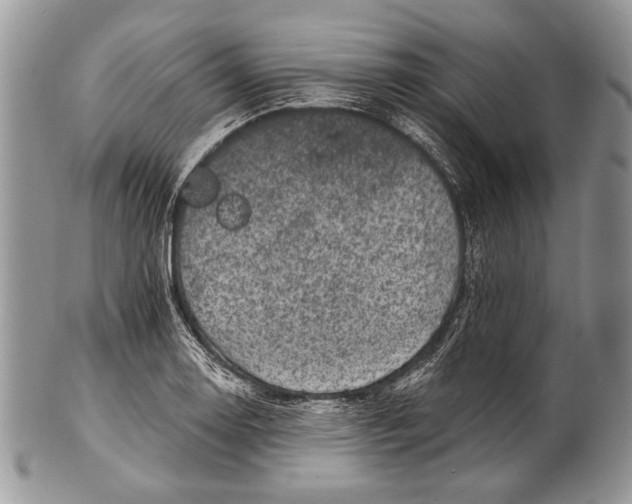 X0000100391130200806201708