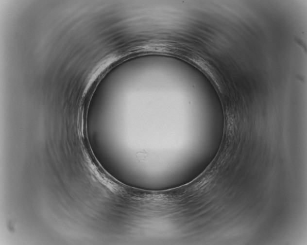 X0000100391131200806201708