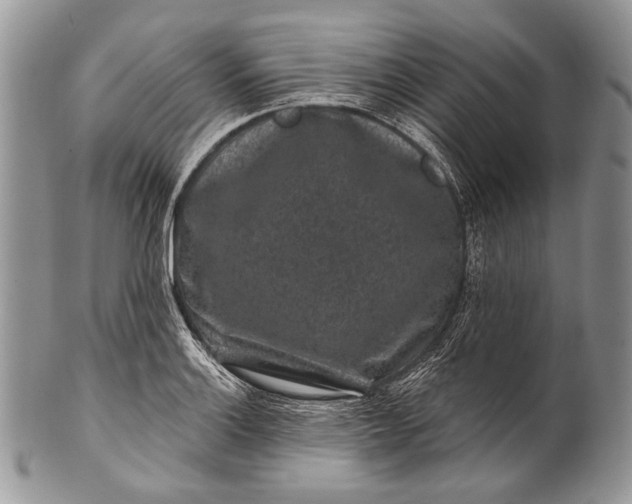 X0000100391132200806201708