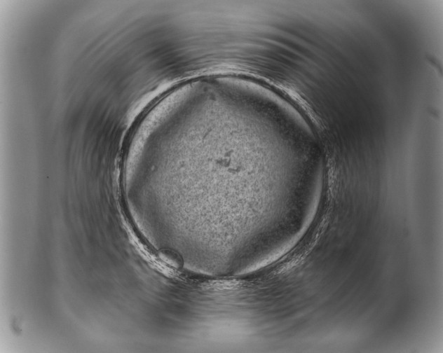 X0000100391134200806201708