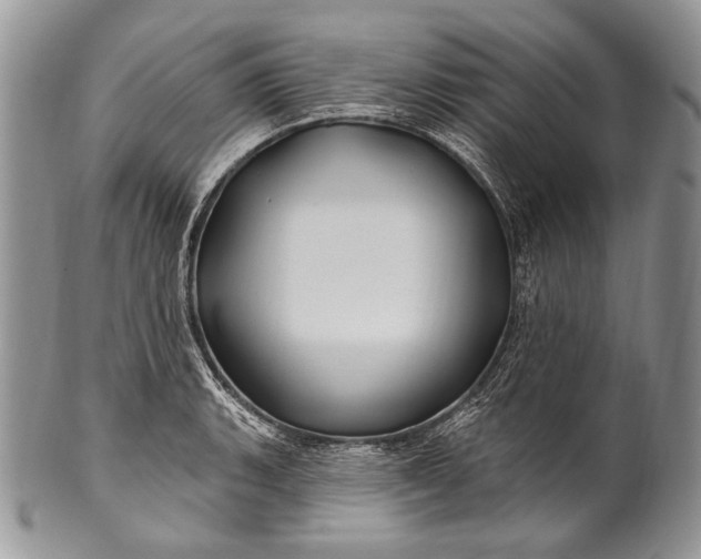 X0000100391135200806201708