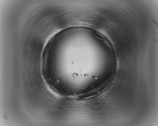 X0000100391136200806201708