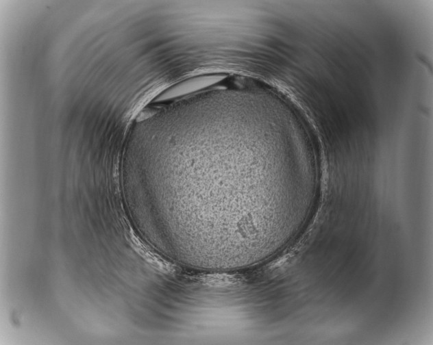 X0000100391137200806201708